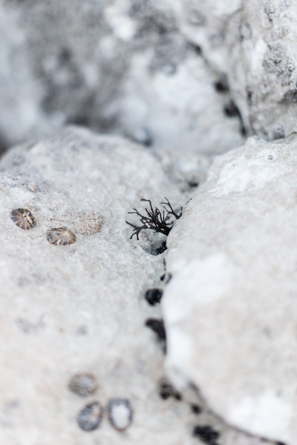 RDV surprise à Biarritz - Pauline + Jules - Blog Mariage Madame C