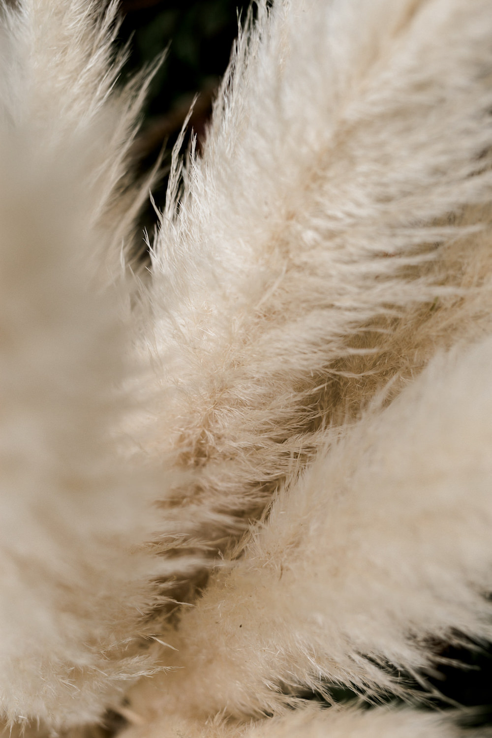 From Camargue with love - Blog Mariage Madame C