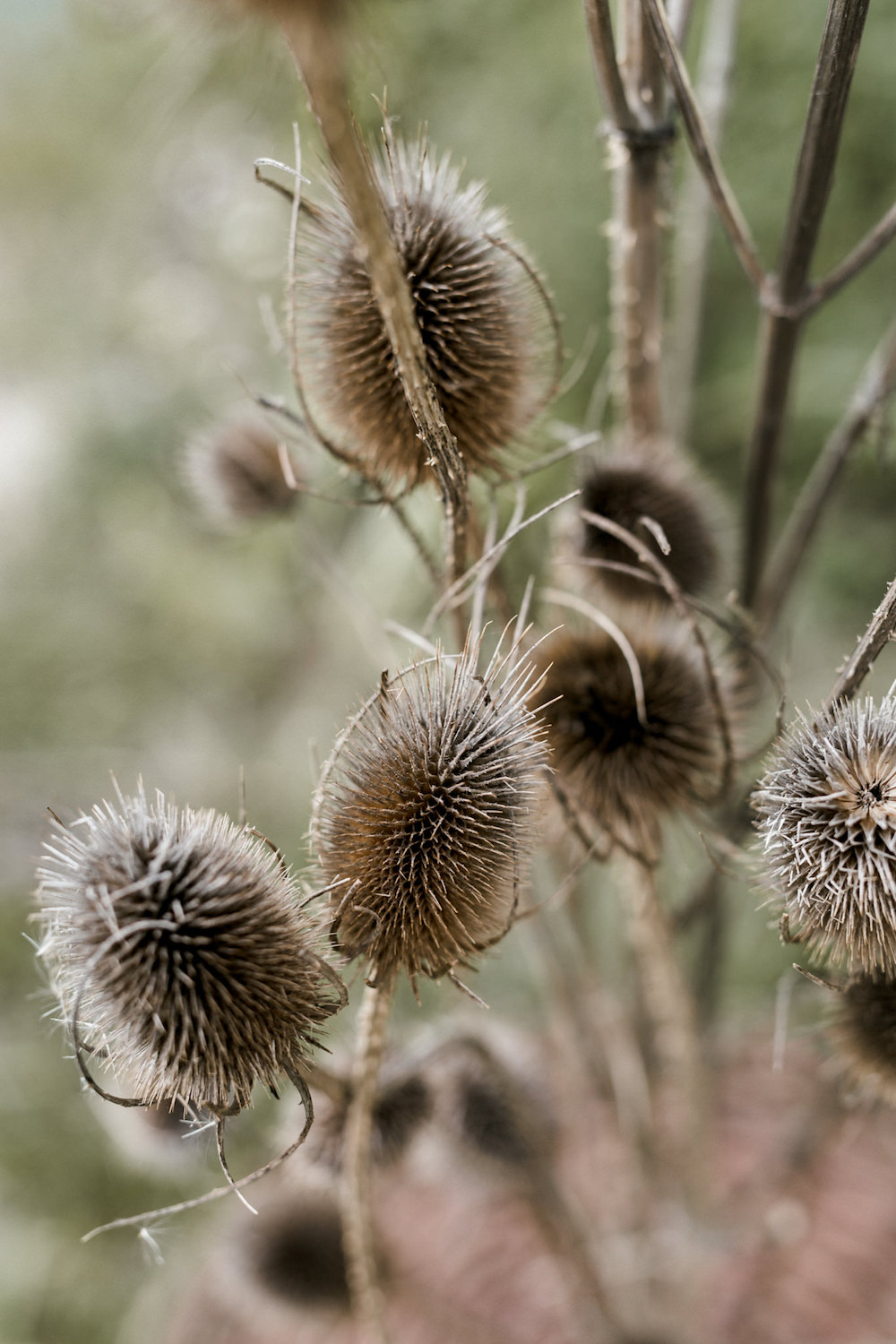 From Camargue with love - Blog Mariage Madame C