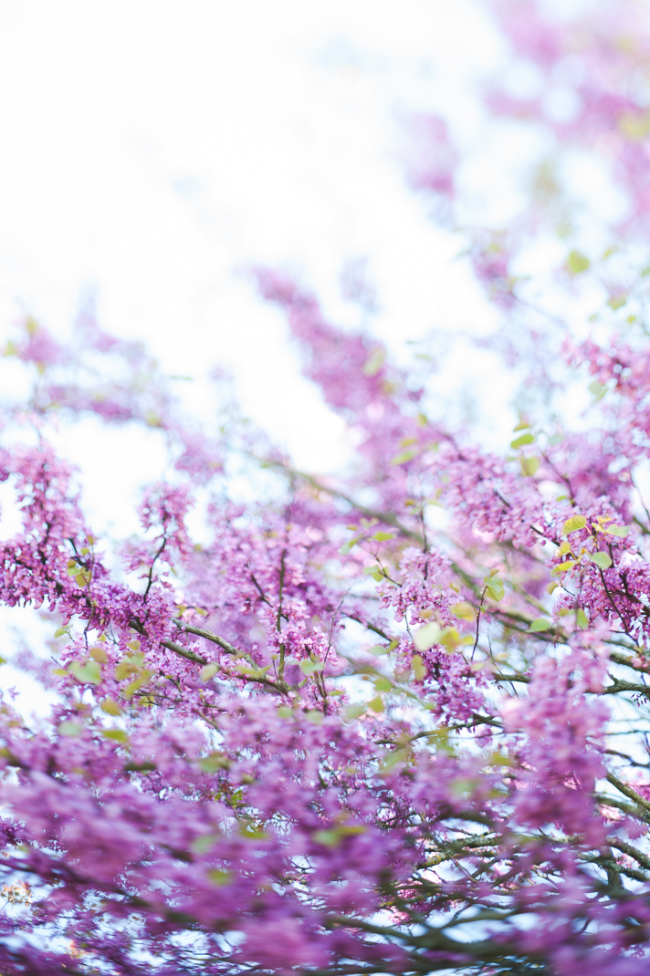 La belle vie en Gascogne - Blog Mariage Madame C