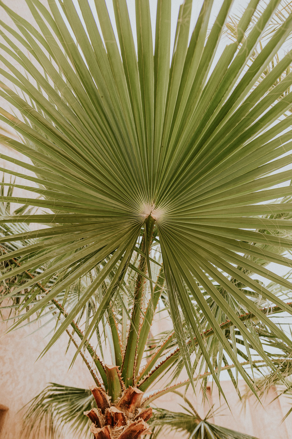 Un mariage à Marrakech - Maria + Thomas - Blog Mariage Madame C Un mariage à Marrakech - Maria + Thomas - Blog Mariage Madame C