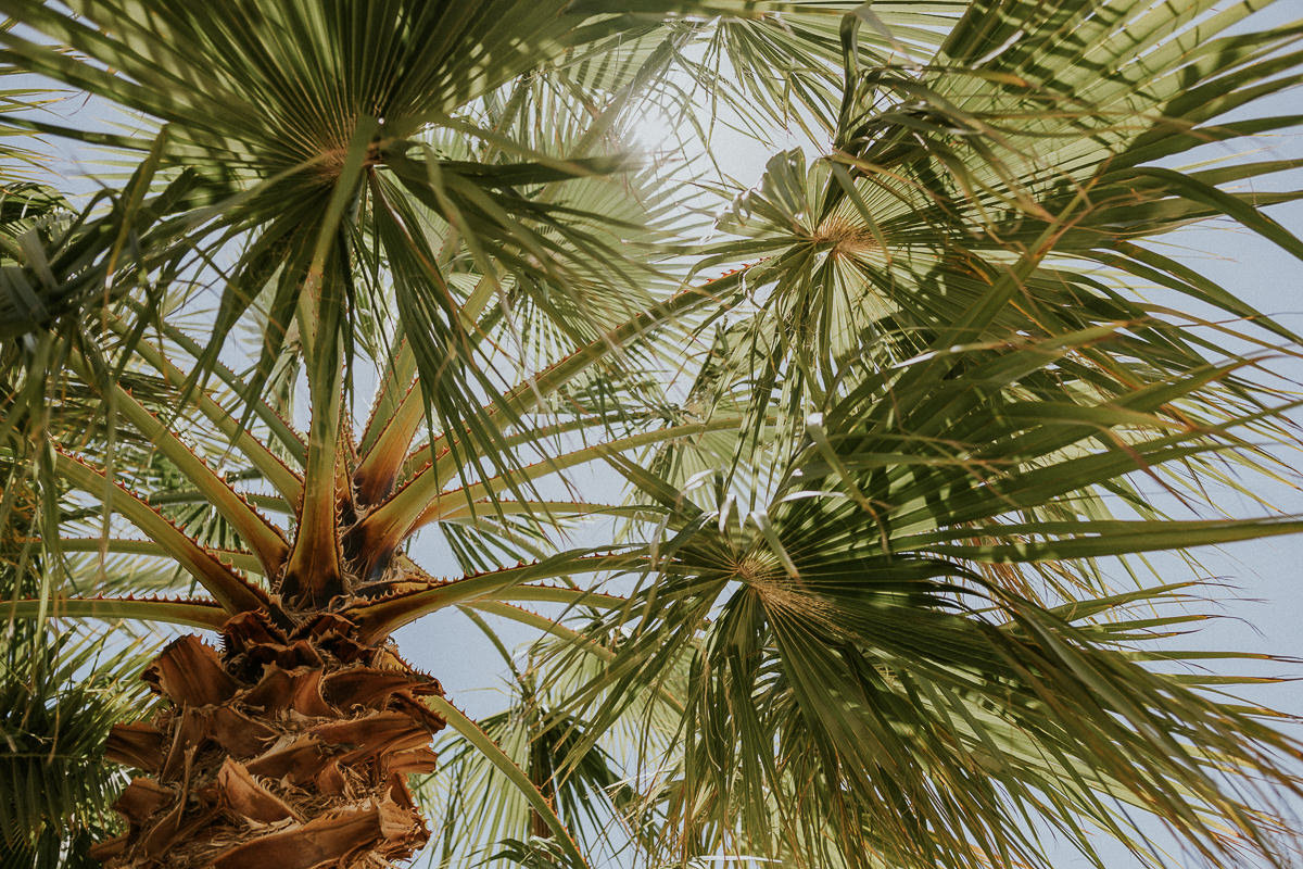 Un mariage à Marrakech - Maria + Thomas - Blog Mariage Madame C Un mariage à Marrakech - Maria + Thomas - Blog Mariage Madame C
