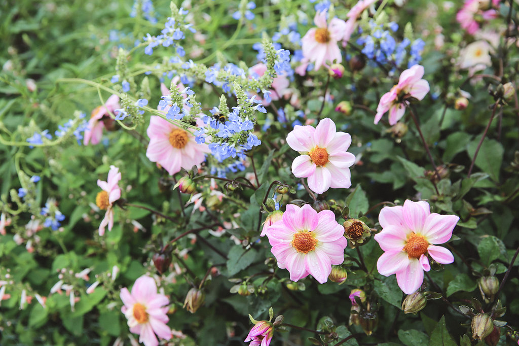 Un mariage civil à Paris - Jenna + Geoffrey - Blog Mariage Madame C