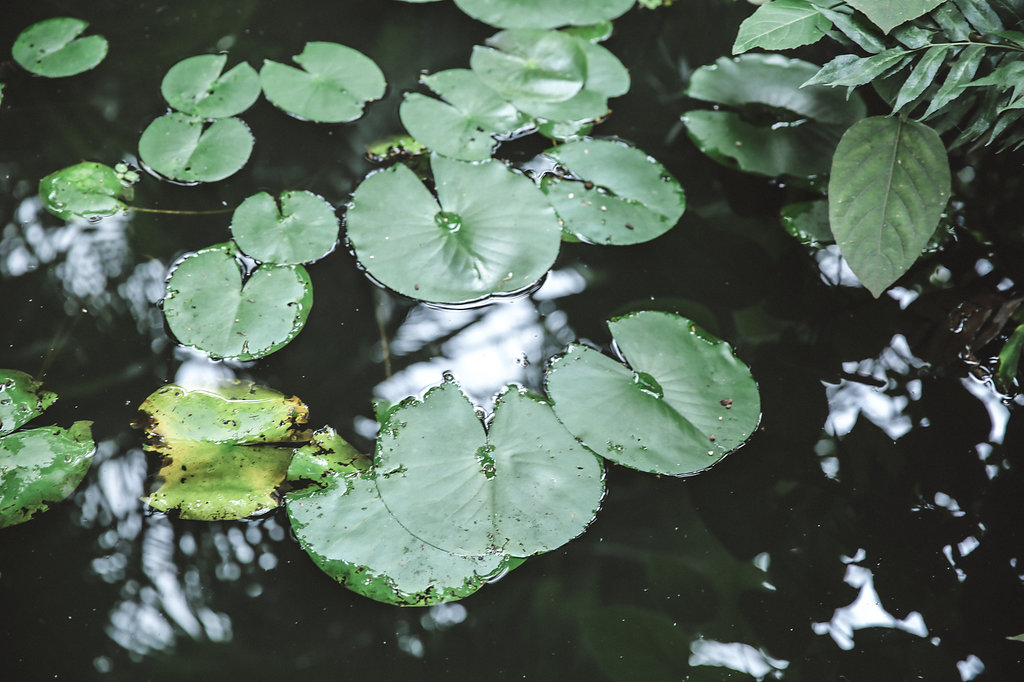 Un mariage civil à Paris - Jenna + Geoffrey - Blog Mariage Madame C