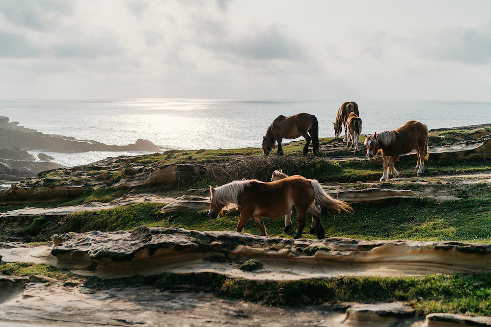 Rendez-vous à Biarritz - Un Auvergnat + Une Lorraine - Blog Mariage Madame C Rendez-vous à Biarritz - Un Auvergnat + Une Lorraine - Blog Mariage Madame C