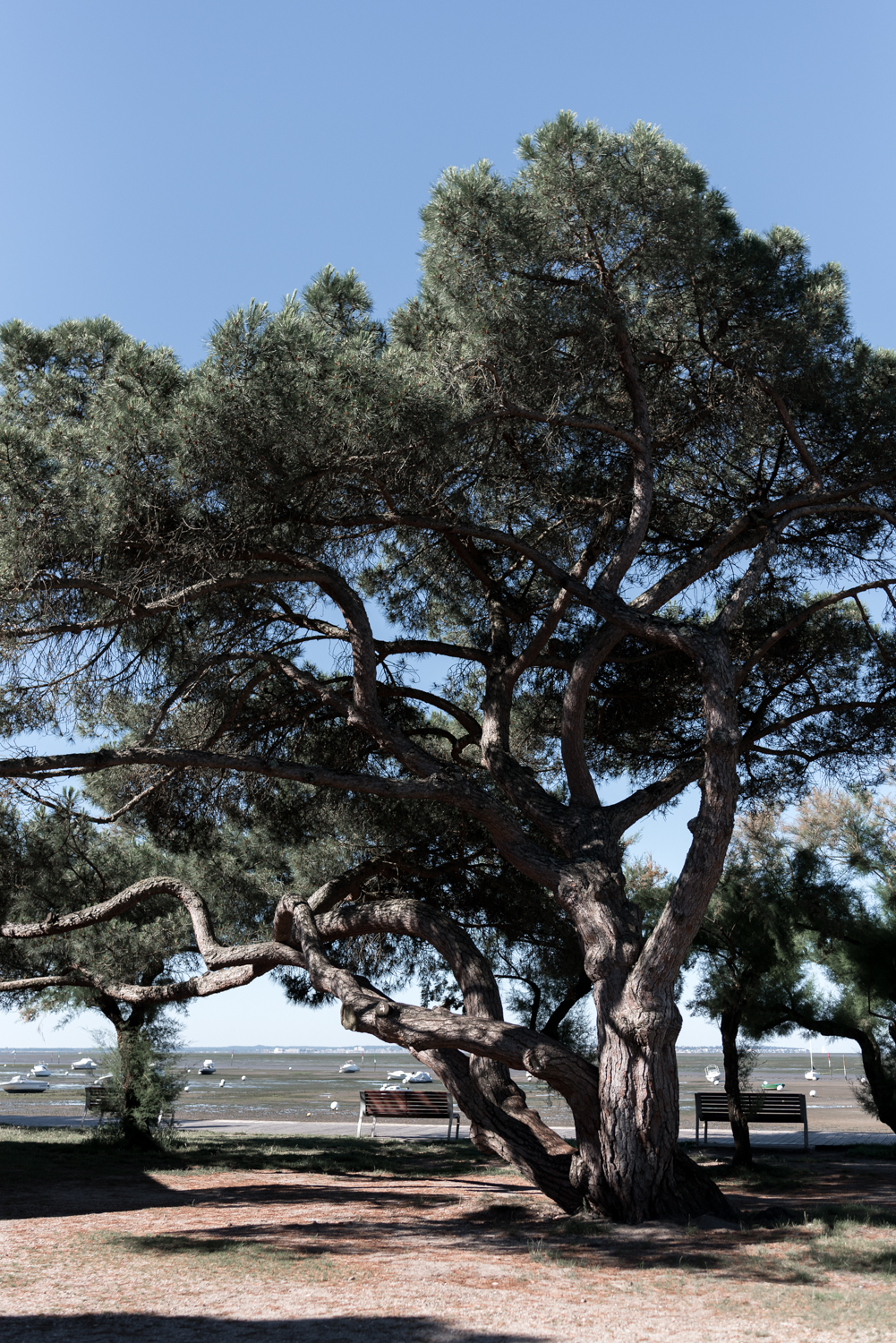 From New York to Le Bassin - Marion + Julien - Blog Mariage Madame C