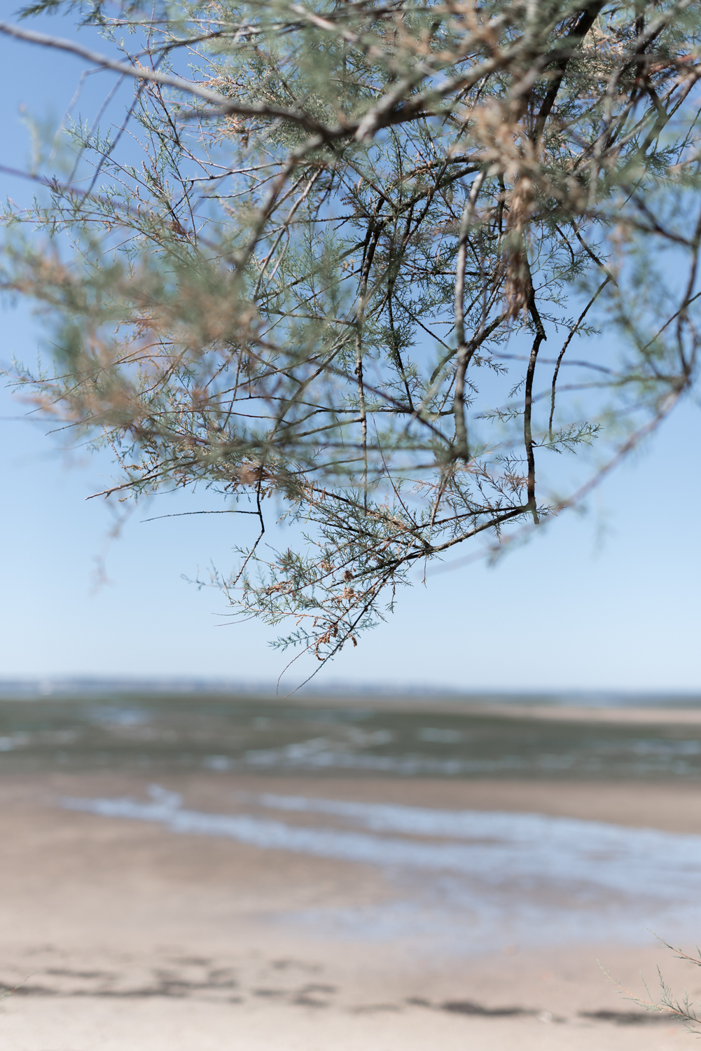 From New York to Le Bassin - Marion + Julien - Blog Mariage Madame C