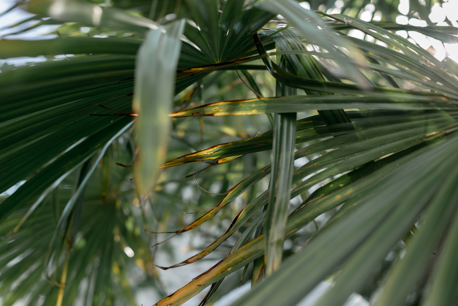 From New York to Le Bassin - Marion + Julien - Blog Mariage Madame C