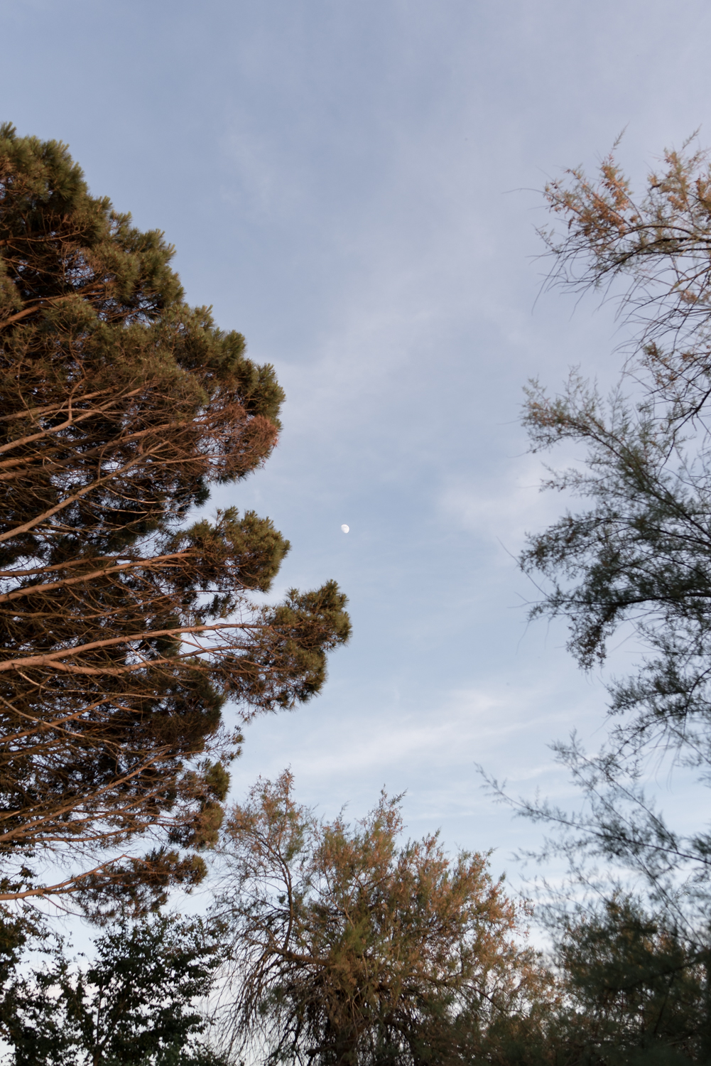 From New York to Le Bassin - Marion + Julien - Blog Mariage Madame C