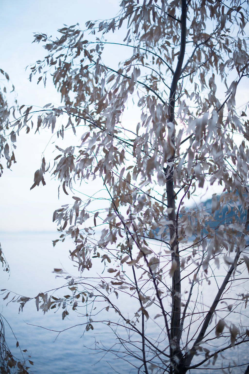 Noces Blanches à St Tropez - Blog Mariage Madame C Noces Blanches à St Tropez - Blog Mariage Madame C