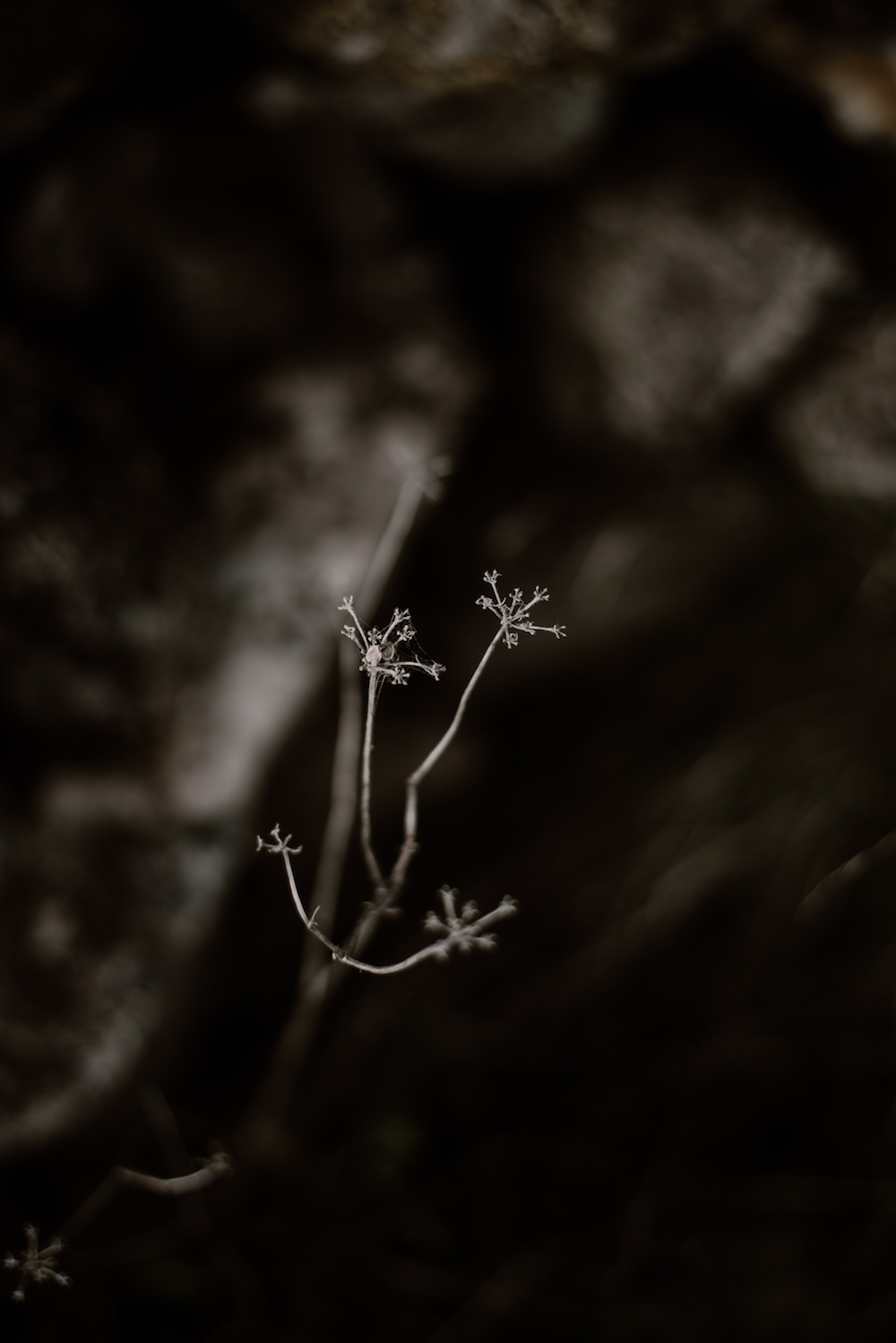 Le jour d'après en Espagne - Patricia + Rafa - Blog Mariage Madame C