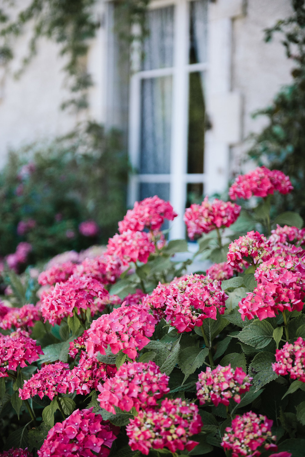 Un mariage en Haute-Savoie - Faustine + Arthur - Blog Mariage Madame C