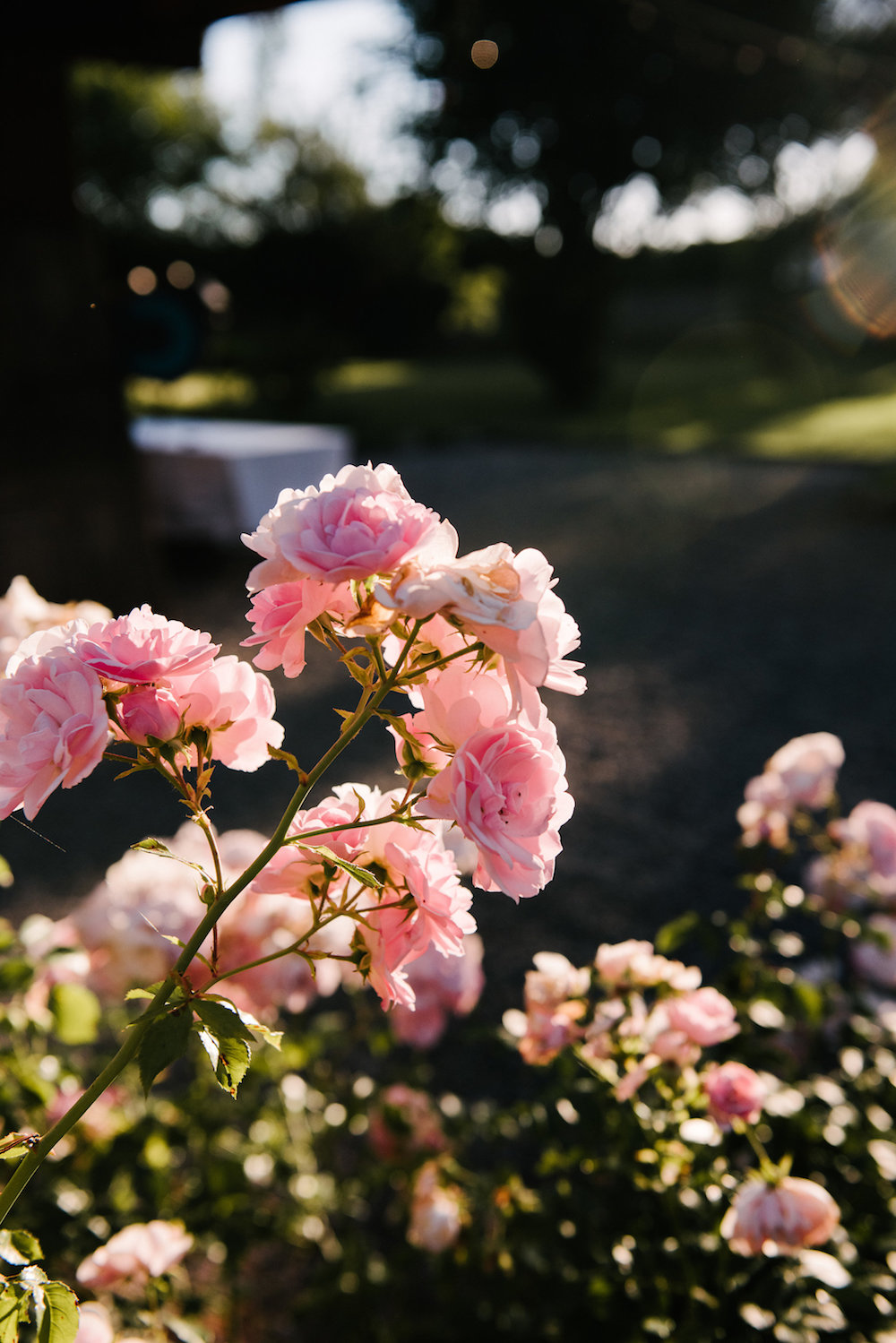 Un mariage en Haute-Savoie - Faustine + Arthur - Blog Mariage Madame C