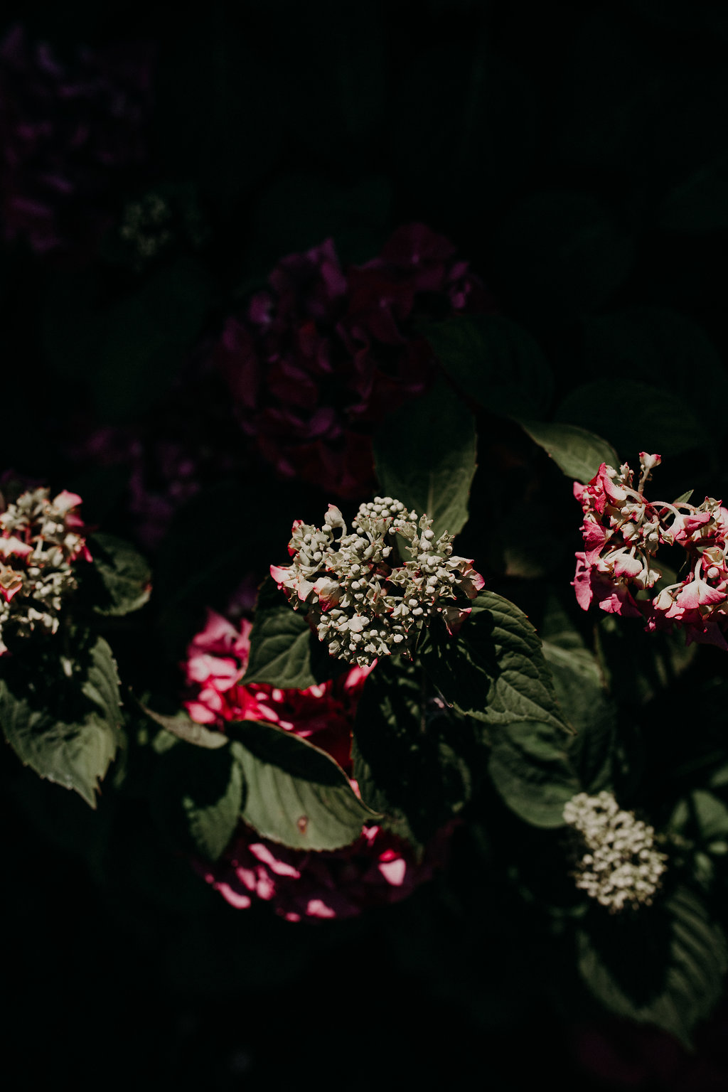 Mariage de campagne au Domaine de l'Ecart - Laurène + Razvan - Blog Mariage Madame C Mariage de campagne au Domaine de l'Ecart - Laurène + Razvan - Blog Mariage Madame C