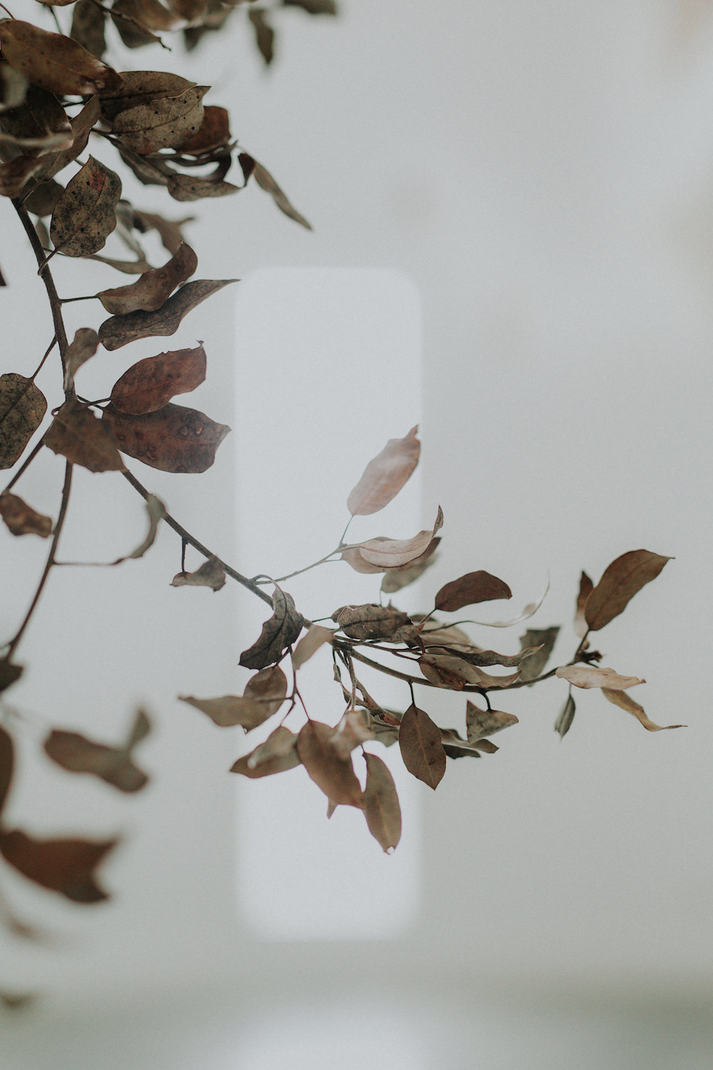 Un mariage d'hiver aux notes épurées - Blog Mariage Madame C