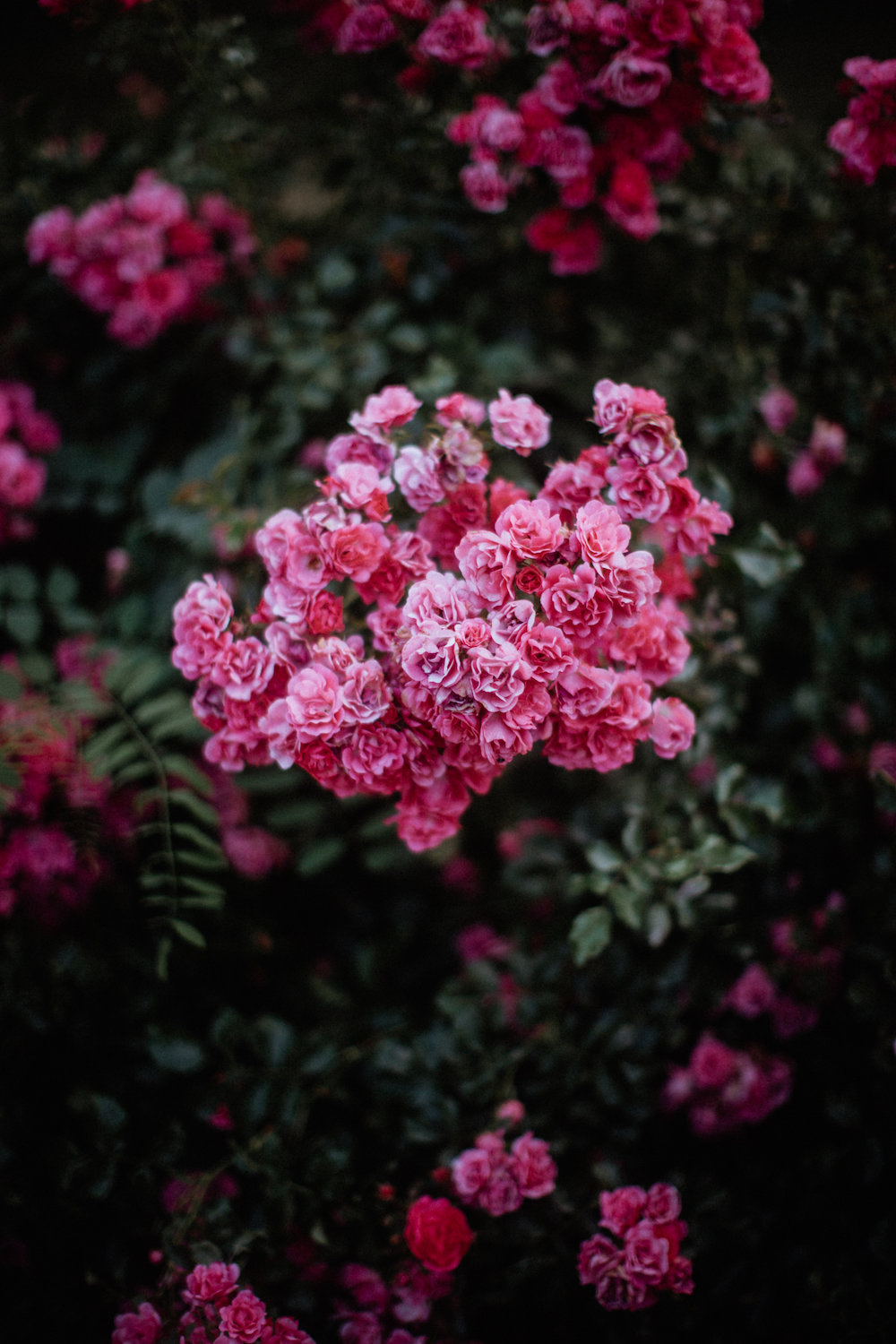 Un mariage au Manoir de Kerougas - Alice + Benjamin - Blog Mariage Madame C