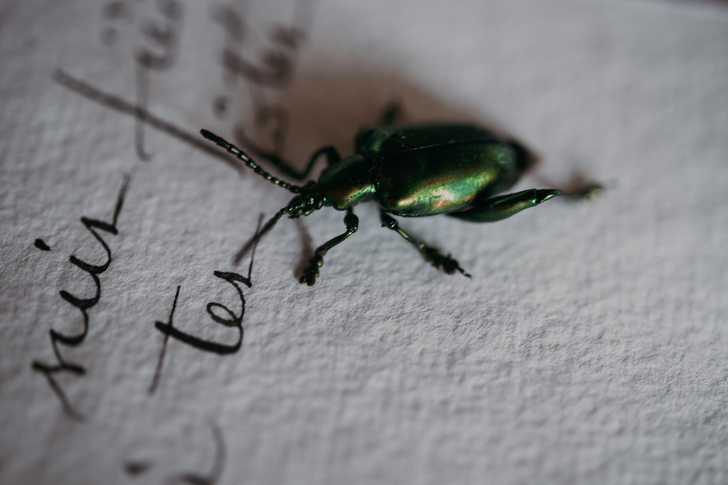 La mariée se prépare - Blog Mariage Madame C