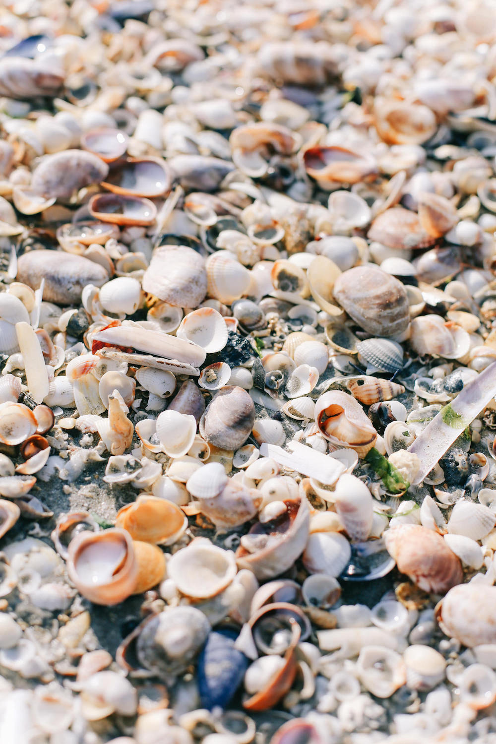 Rendez-vous à Saint Briac sur Mer - Anne-Laure + Come - Blog Mariage Madame C Rendez-vous à Saint Briac sur Mer - Anne-Laure + Come - Blog Mariage Madame C