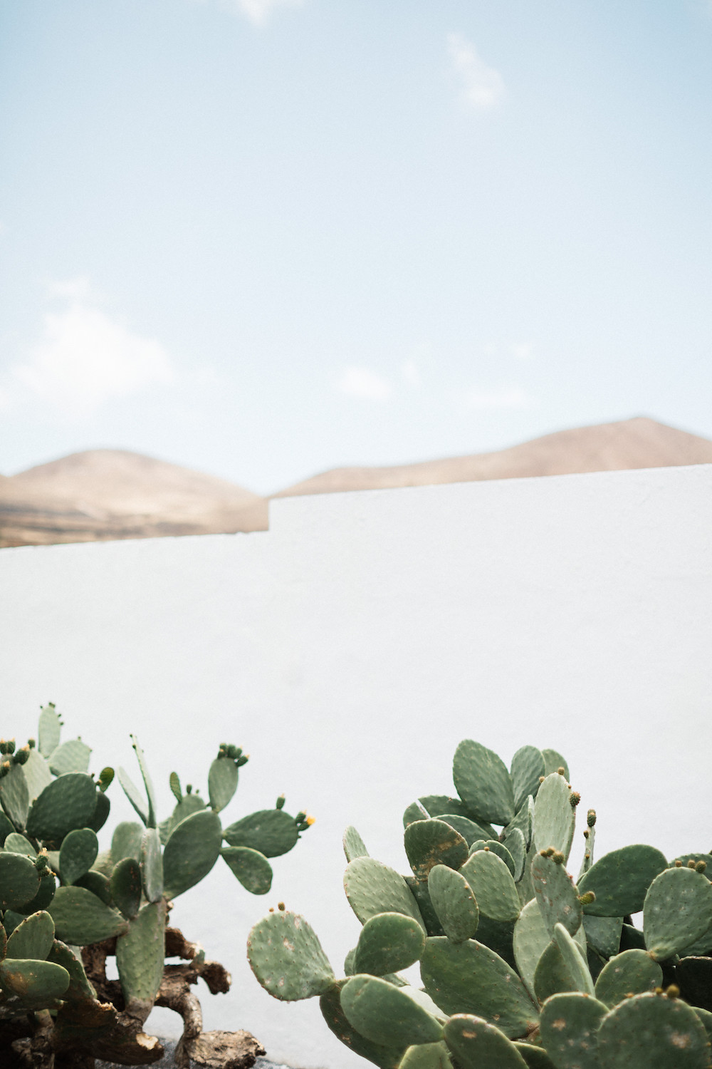 Robes de mariée Elisa Ness - Collection 2019 - Blog Mariage Madame C