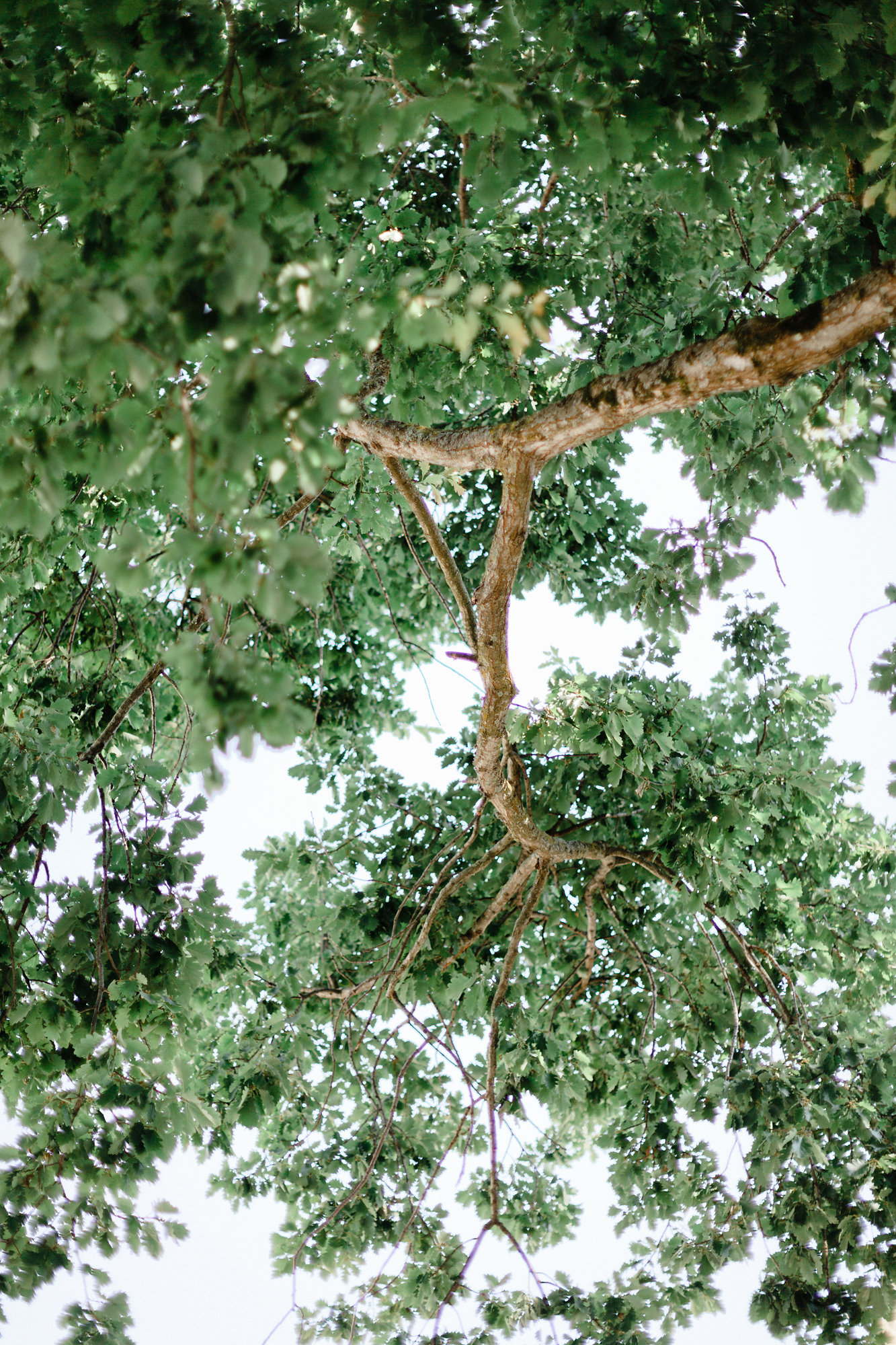 Un mariage aux terrasses de Bothané en Bretagne - Alice + Jérémy - Blog Mariage Madame C