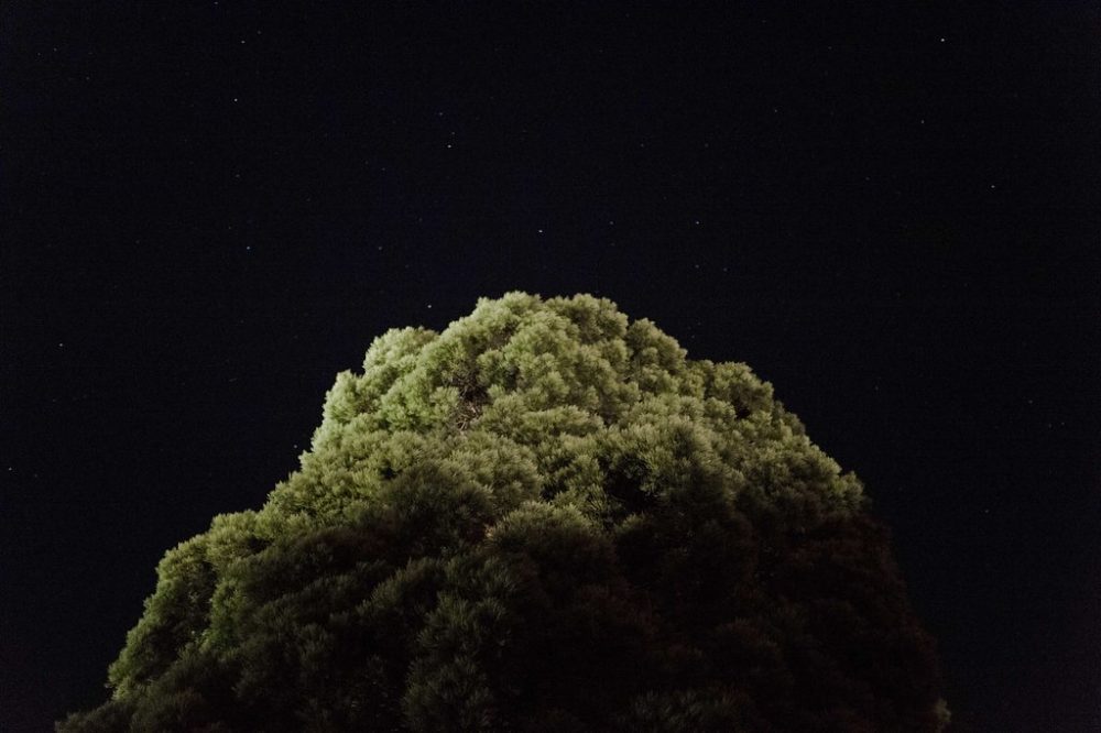 Mariage au Manoir de Vacheresses - Lilit + Vincent - Blog Mariage Madame C Mariage au Manoir de Vacheresses - Lilit + Vincent - Blog Mariage Madame C