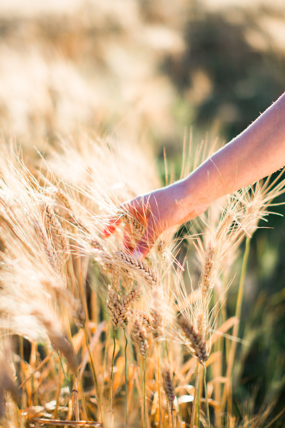 Mariage en Provence au Domaine de Blanche Fleur - Anne-Sophie + Victor - Blog Mariage Madame C Mariage en Provence au Domaine de Blanche Fleur - Anne-Sophie + Victor - Blog Mariage Madame C