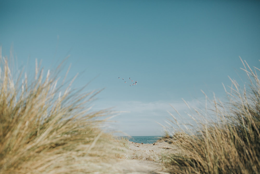 Amour Sauvage en Camargue - Blog Mariage Madame C