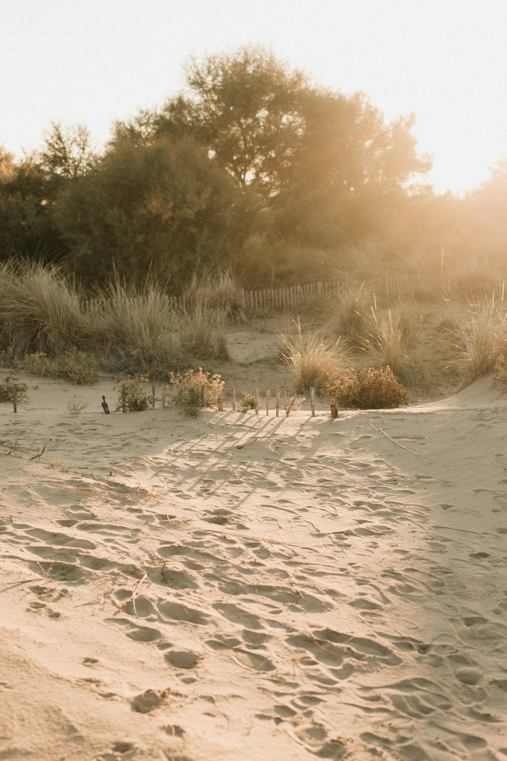 Camille Recolin Collection 2019 - Robes de Mariée - Blog Mariage Madame C