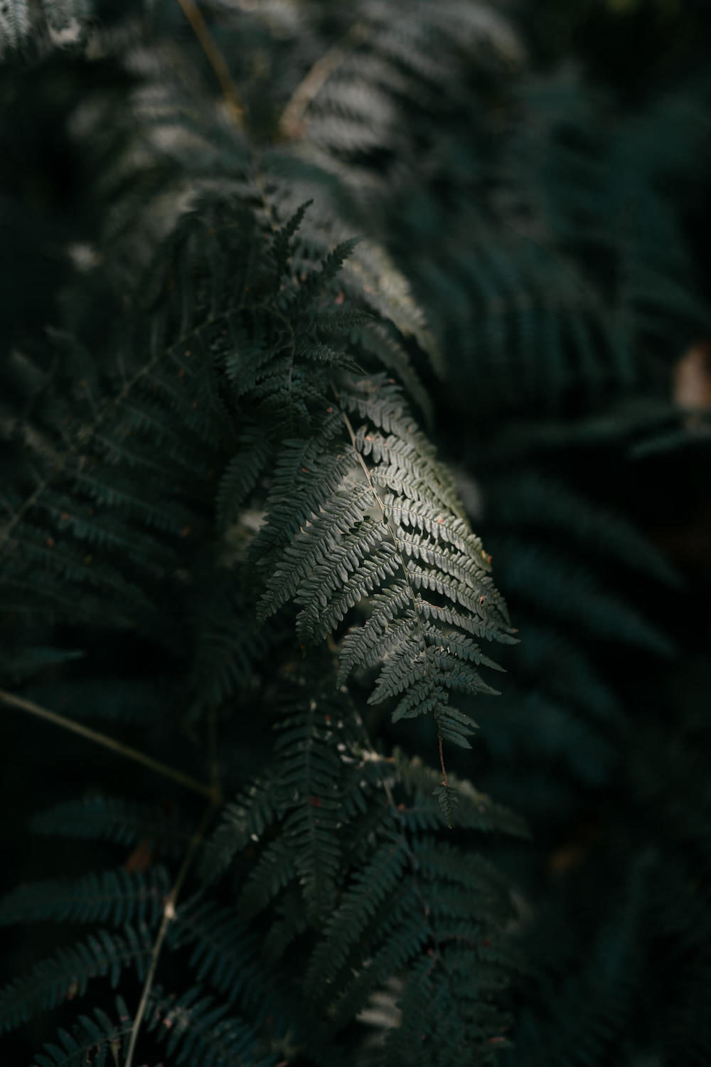 Un mariage en Aveyron - Noémie + Matthieu - Blog Mariage Madame C