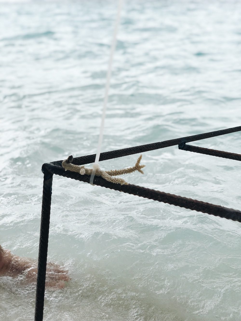 Destination Les Maldives - Blog Mariage Madame C Destination Les Maldives - Blog Mariage Madame C