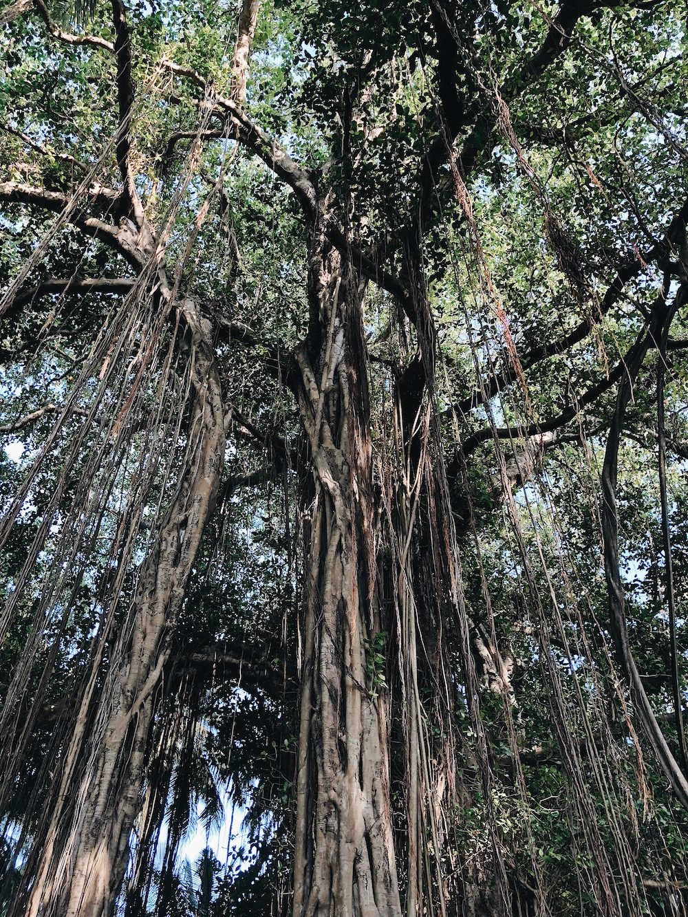 Destination Les Maldives - Blog Mariage Madame C Destination Les Maldives - Blog Mariage Madame C