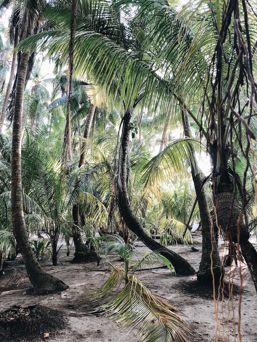 Destination Les Maldives - Blog Mariage Madame C Destination Les Maldives - Blog Mariage Madame C