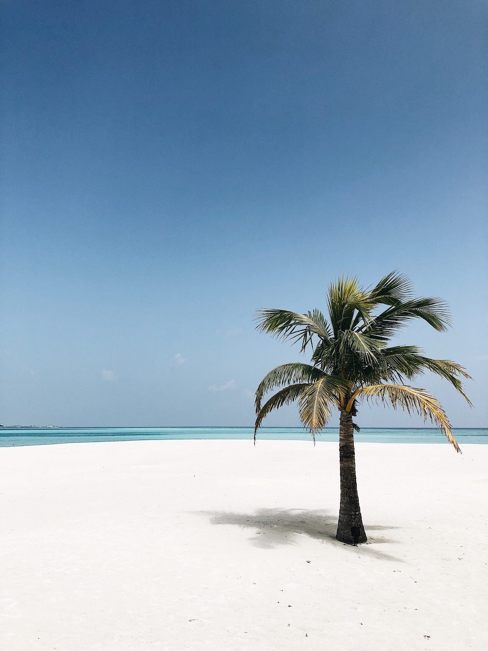 Destination Les Maldives - Blog Mariage Madame C Destination Les Maldives - Blog Mariage Madame C