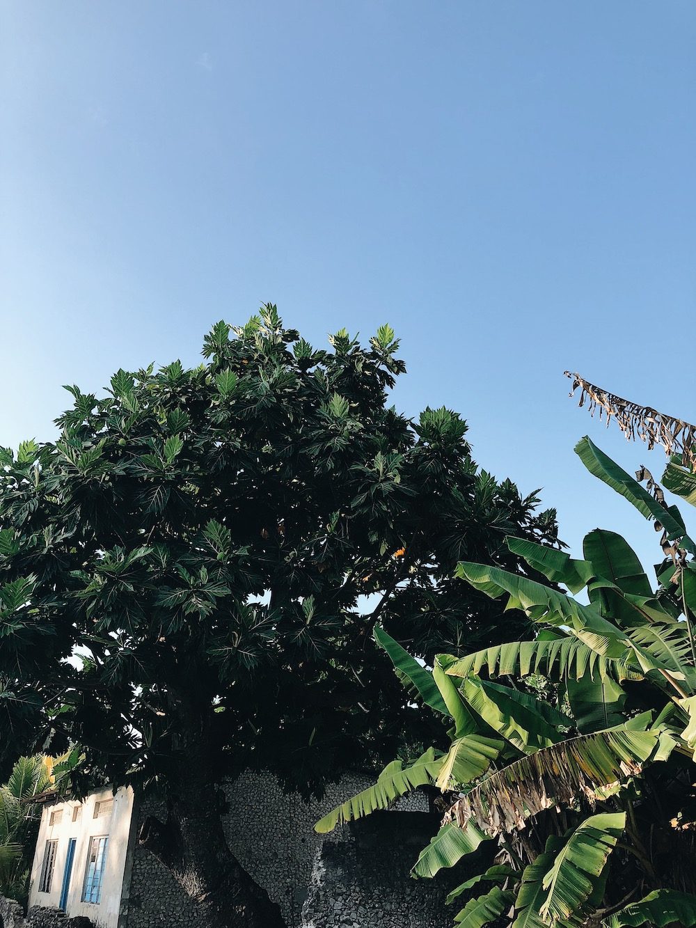 Destination Les Maldives - Blog Mariage Madame C Destination Les Maldives - Blog Mariage Madame C