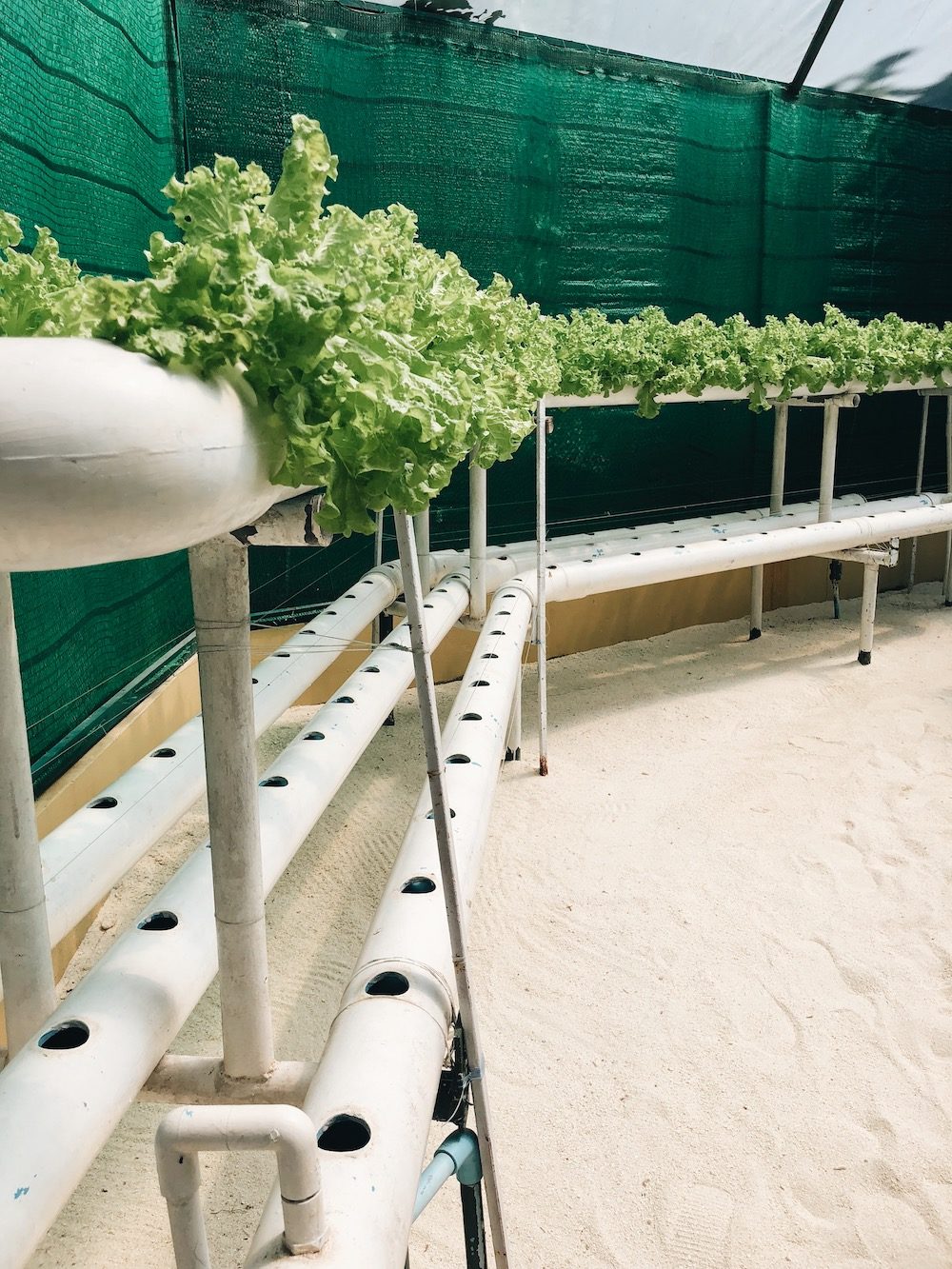 Destination Les Maldives - Blog Mariage Madame C Destination Les Maldives - Blog Mariage Madame C