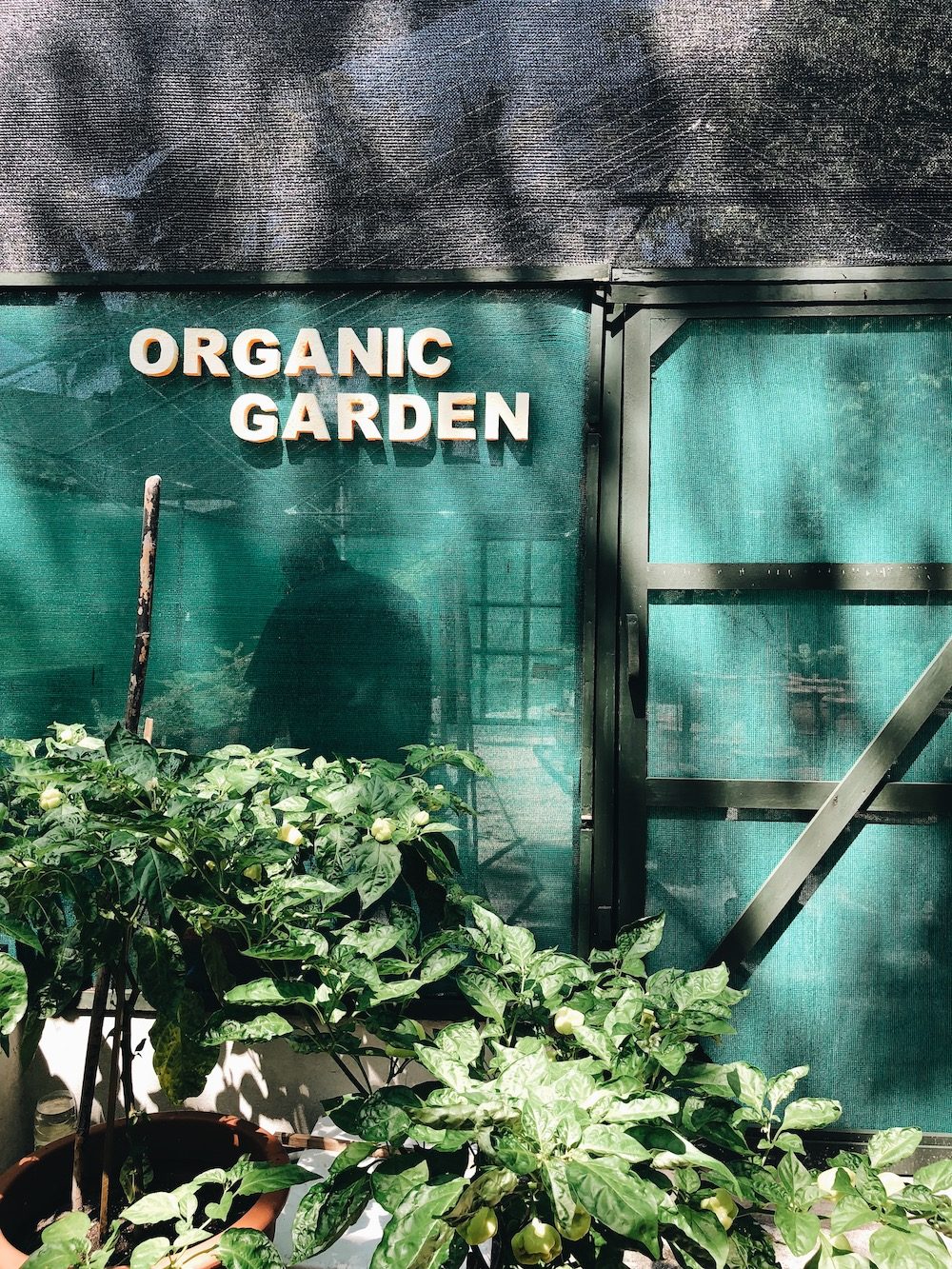 Destination Les Maldives - Blog Mariage Madame C Destination Les Maldives - Blog Mariage Madame C