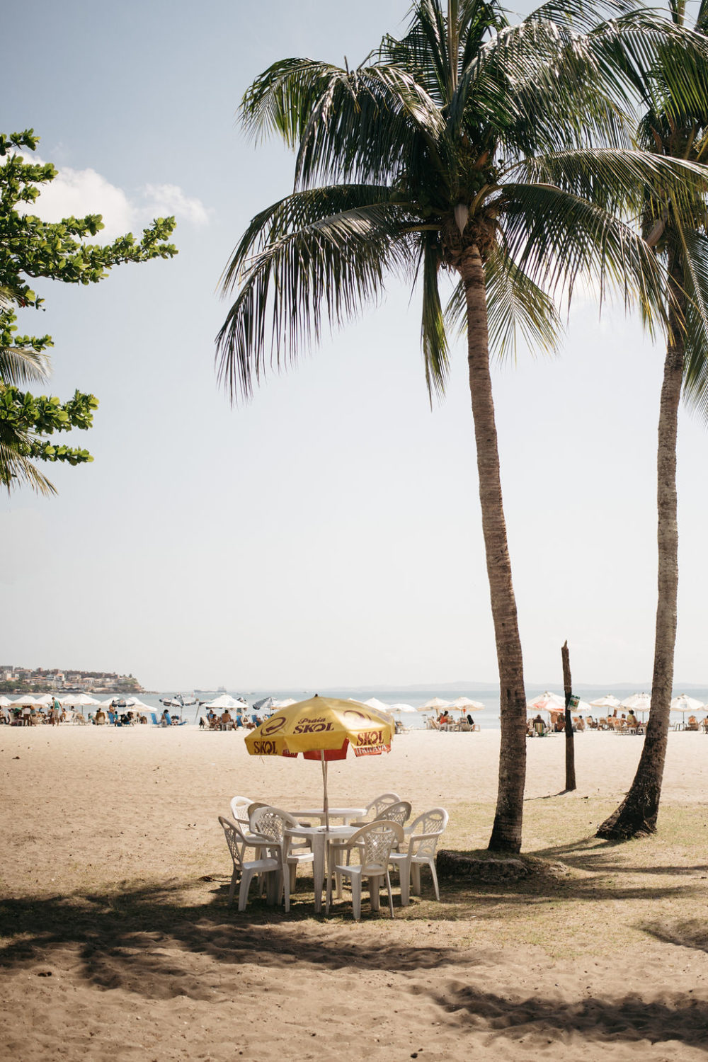 Faubourg Saint Sulpice Collection 2019 - Costume de mariage - Blog Mariage Madame C Faubourg Saint Sulpice Collection 2019 - Costume de mariage - Blog Mariage Madame C