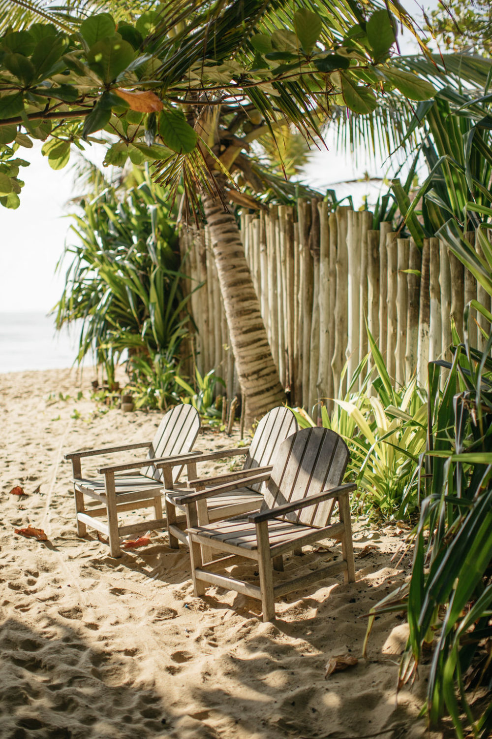 Faubourg Saint Sulpice Collection 2019 - Costume de mariage - Blog Mariage Madame C Faubourg Saint Sulpice Collection 2019 - Costume de mariage - Blog Mariage Madame C