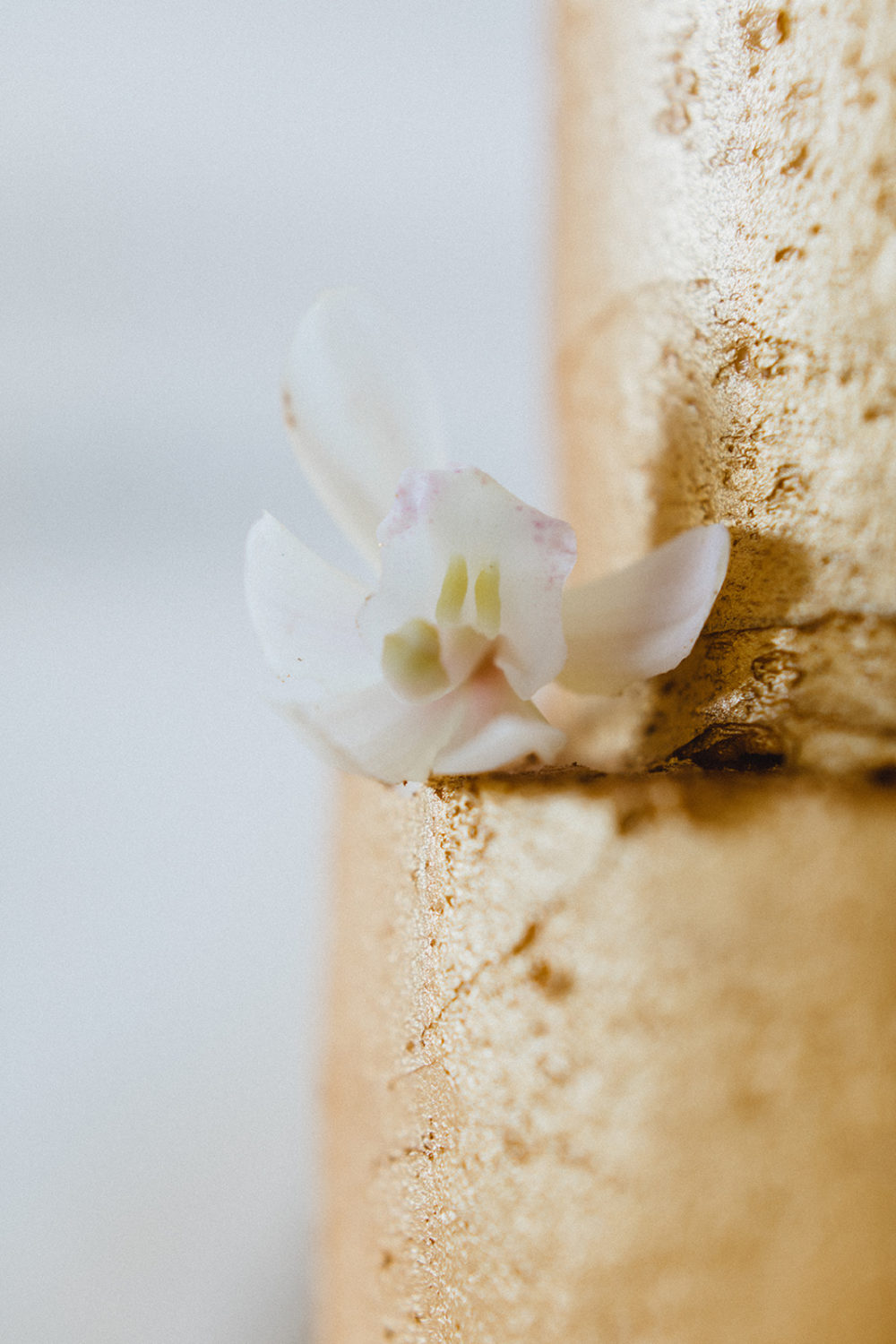 Un mariage d'or et de blanc sur la Côte d'Azur - Blog Mariage Madame C Un mariage d'or et de blanc sur la Côte d'Azur - Blog Mariage Madame C