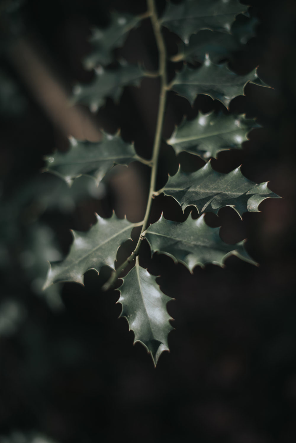  Mariage d'hiver "Somewhere in The Woods" - Blog Mariage Madame C