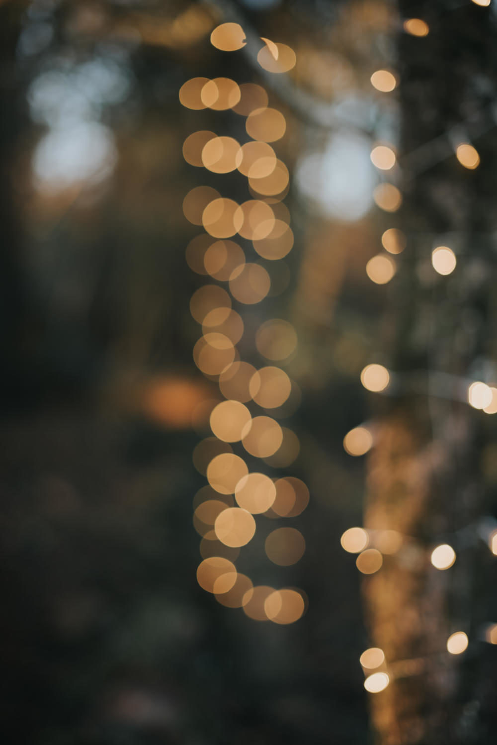  Mariage d'hiver "Somewhere in The Woods" - Blog Mariage Madame C