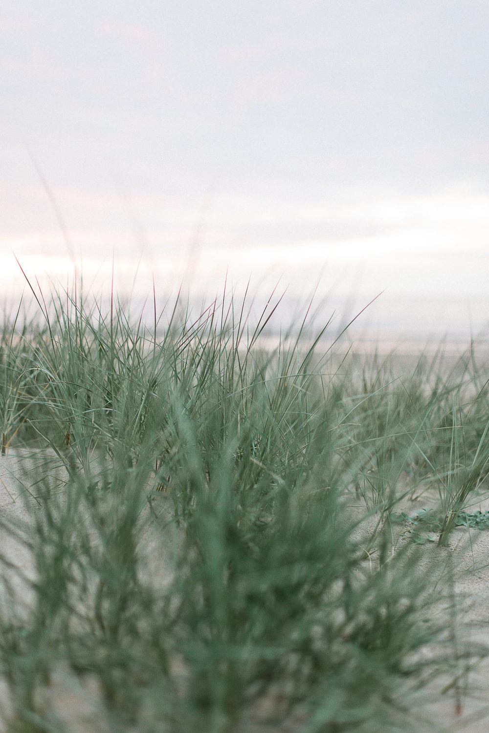 Rendez-vous en Normandie - Blog Mariage Madame C