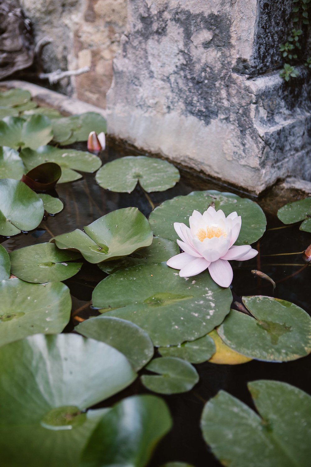 Mariage à Uzès - Charlotte + Rémi - Blog Mariage Madame C