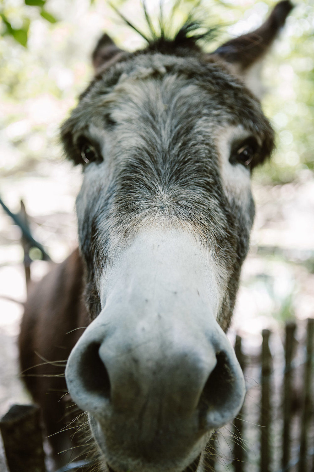 Mariage à Uzès - Charlotte + Rémi - Blog Mariage Madame C