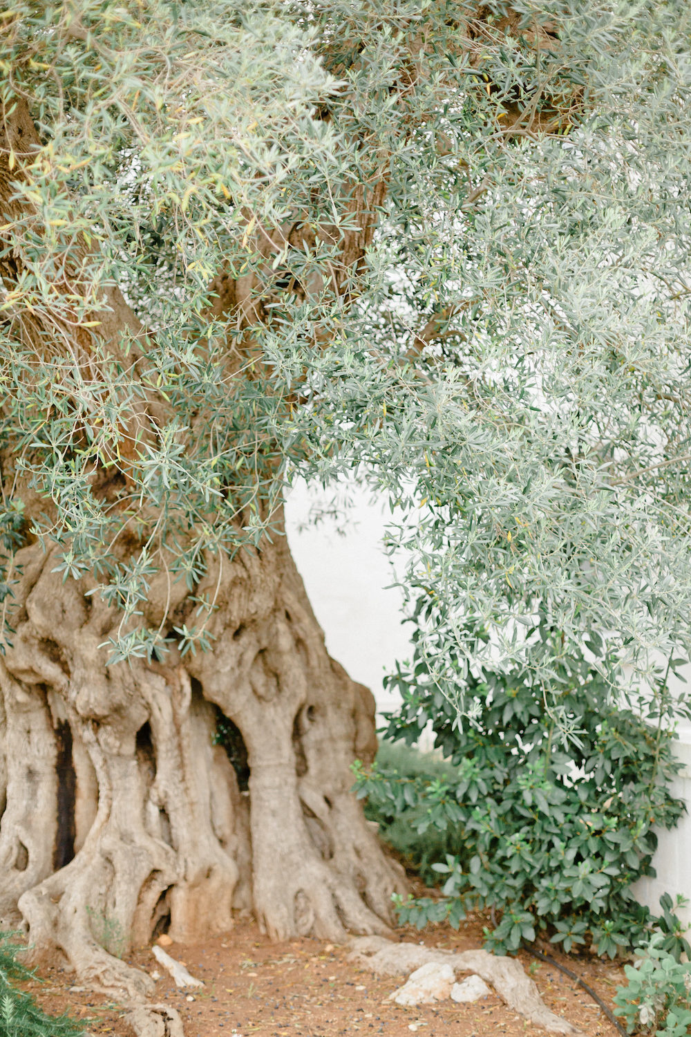 Lune de miel dans les Pouilles - Blog Mariage Madame C Lune de miel dans les Pouilles - Blog Mariage Madame C