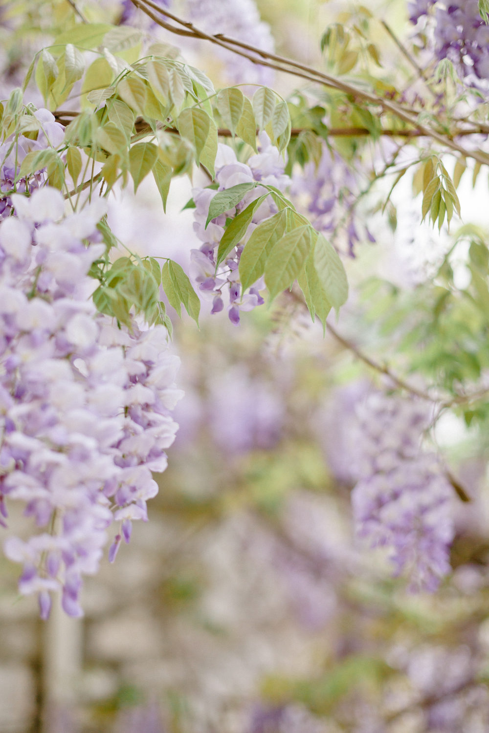 Lune de miel dans les Pouilles - Blog Mariage Madame C Lune de miel dans les Pouilles - Blog Mariage Madame C
