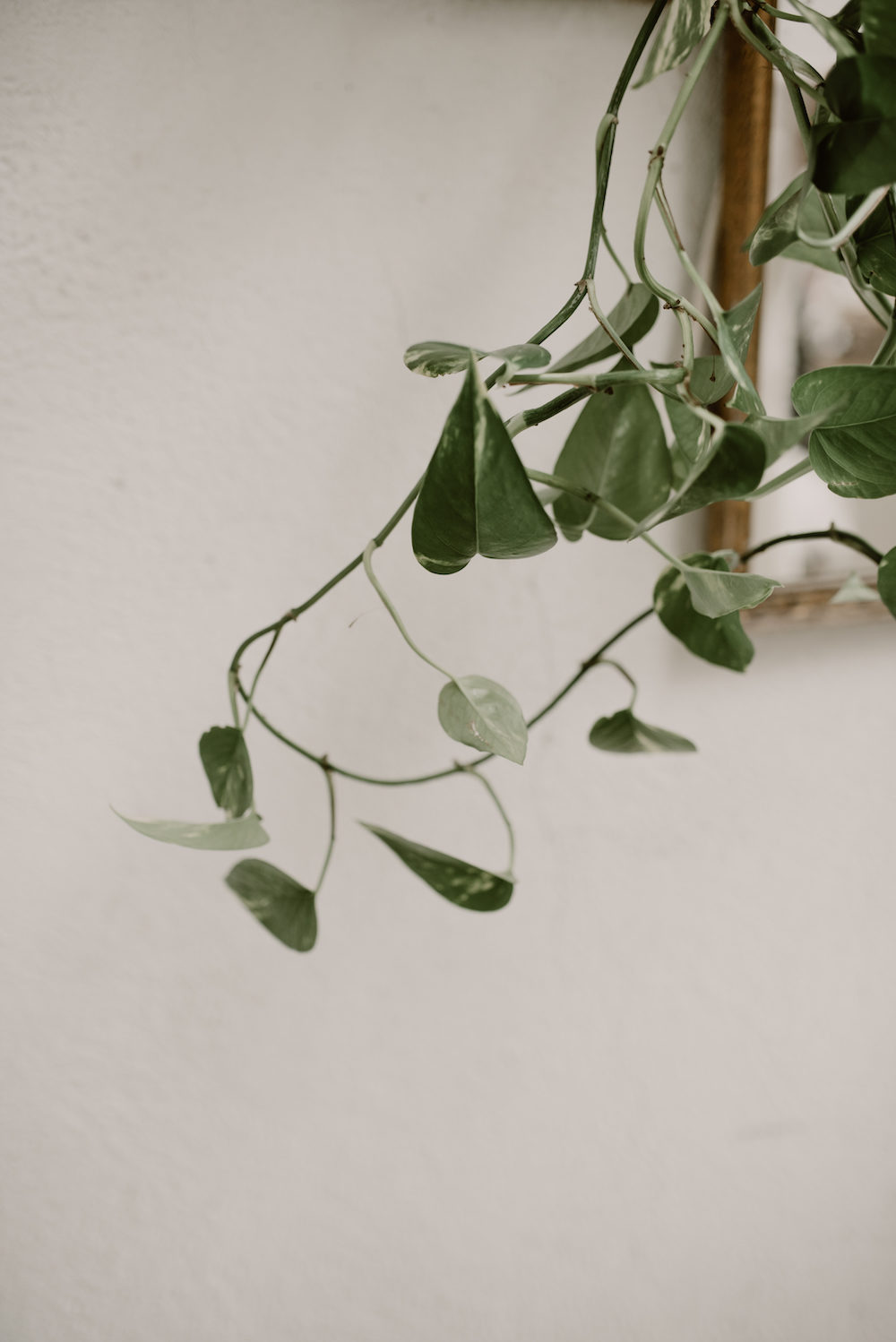 Nikita Nipone Collection 2019 - Robes de mariée - Blog Mariage Madame C Nikita Nipone Collection 2019 - Robes de mariée - Blog Mariage Madame C