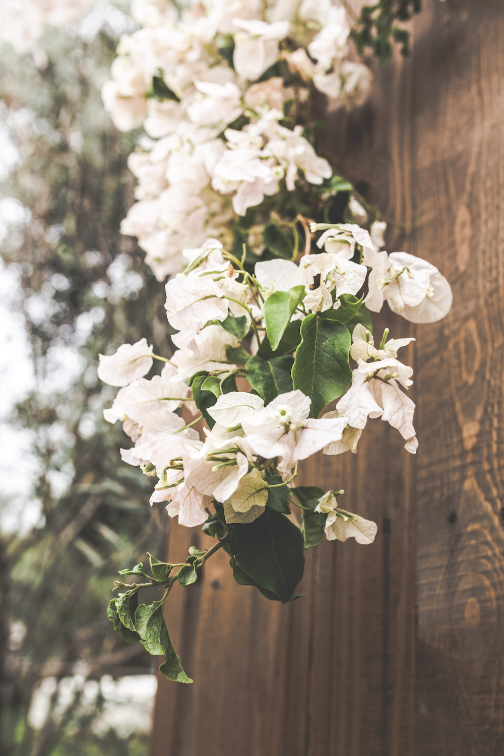 Manager of myself, une retraite pour les femmes entrepreneurs - Blog Mariage Madame C Manager of myself, une retraite pour les femmes entrepreneurs - Blog Mariage Madame C