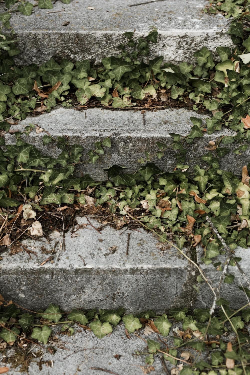 Un mariage élégant au Domaine des Bidaudières - Maja + Hadrien - Blog Mariage Madame C