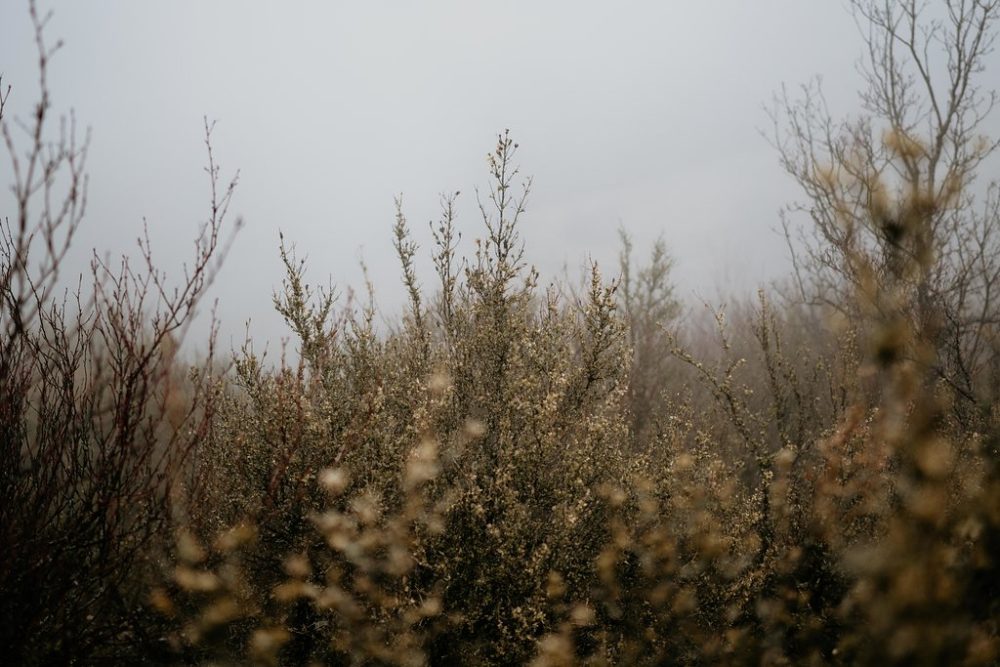 Voyage d'automne - Blog Mariage Madame C Voyage d'automne - Blog Mariage Madame C